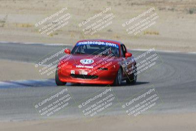 media/Nov-04-2023-CalClub SCCA (Sat) [[cb7353a443]]/Group 3/Cotton Corners (Race)/